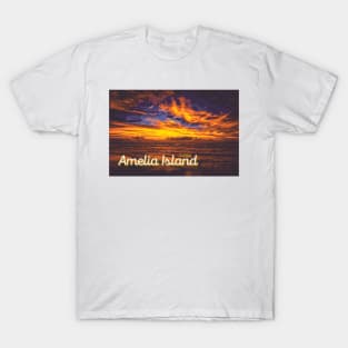 Amelia Island, Florida T-Shirt